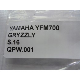 Yamaha yfm 700 grizzly water liquid pump