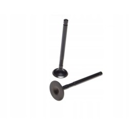 Exhaust intake valve 250 ccm 2 barossa pistons 4t