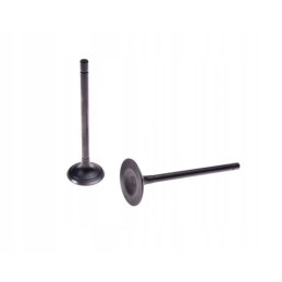 Exhaust intake valve set atv200 water
