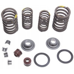 Quad cross 250 4t loncin valve spring valves