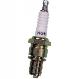 Spark plug d7ea ngk
