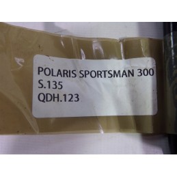 Polaris Sportsman 300 brake lever