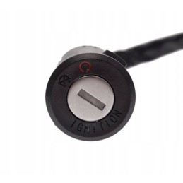 Ignition switch for ATV Bashan BS250S 5 Quad, keys set