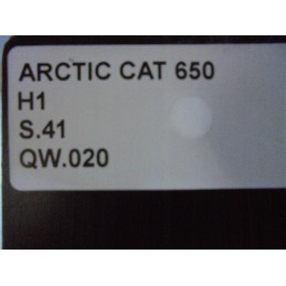 Plastic filling Arctic Cat 650 H1