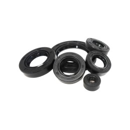 Engine seals set atv quad bashan eagle loncin shineray 150 200 250