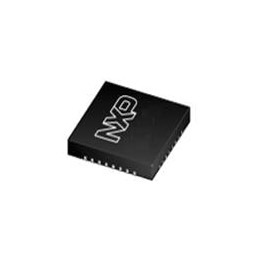 1 pcs : LPC1114JHI33/303E - ARM Microcontrollers - MCU Scalable Entry Level 32-bit Microcontroller (MCU) based on ARM Cortex-M0+