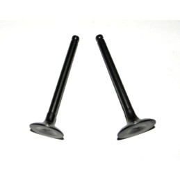 Exhaust intake valve for quad ATV 110c