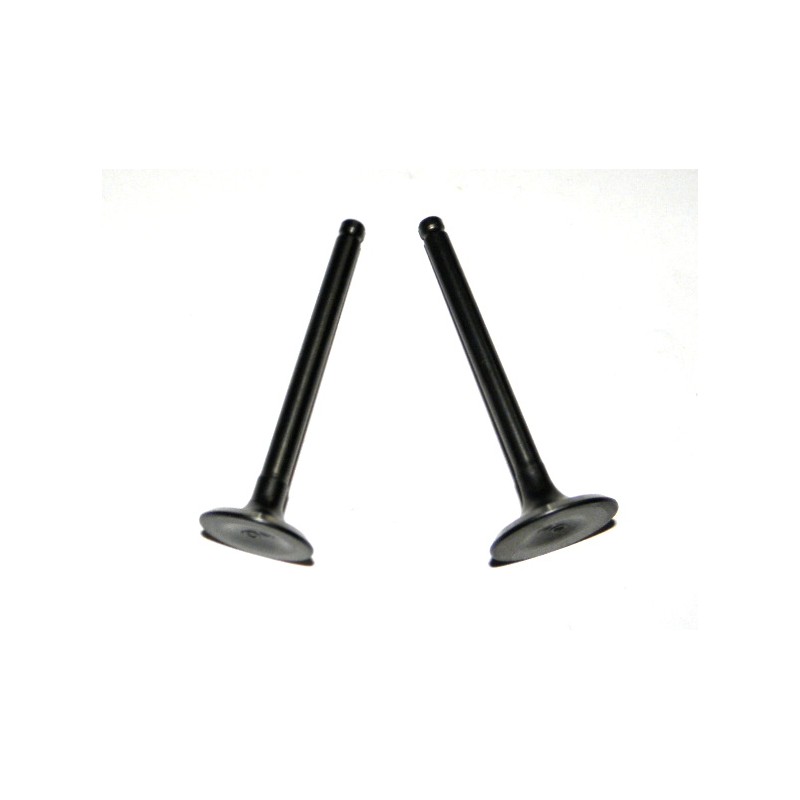 Exhaust intake valve for quad ATV 110c