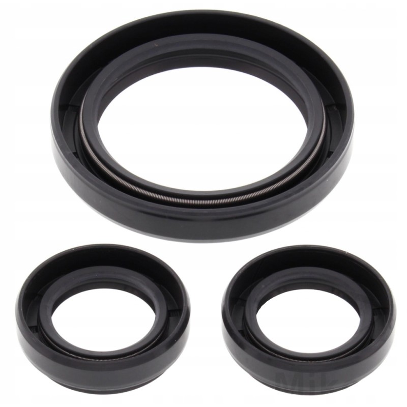 Yamaha YFM 400 differential repair kit