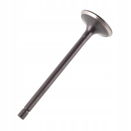 Intake valve for cylinder head atv 200 250cc