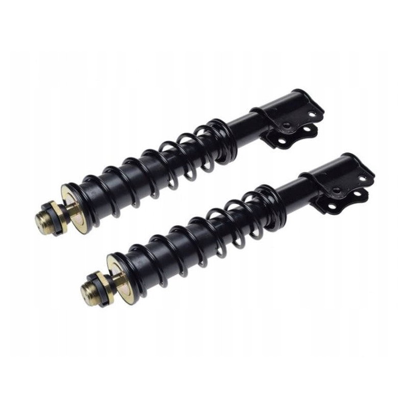 Front shock absorbers LP ATV Bashan BS250S 5 set