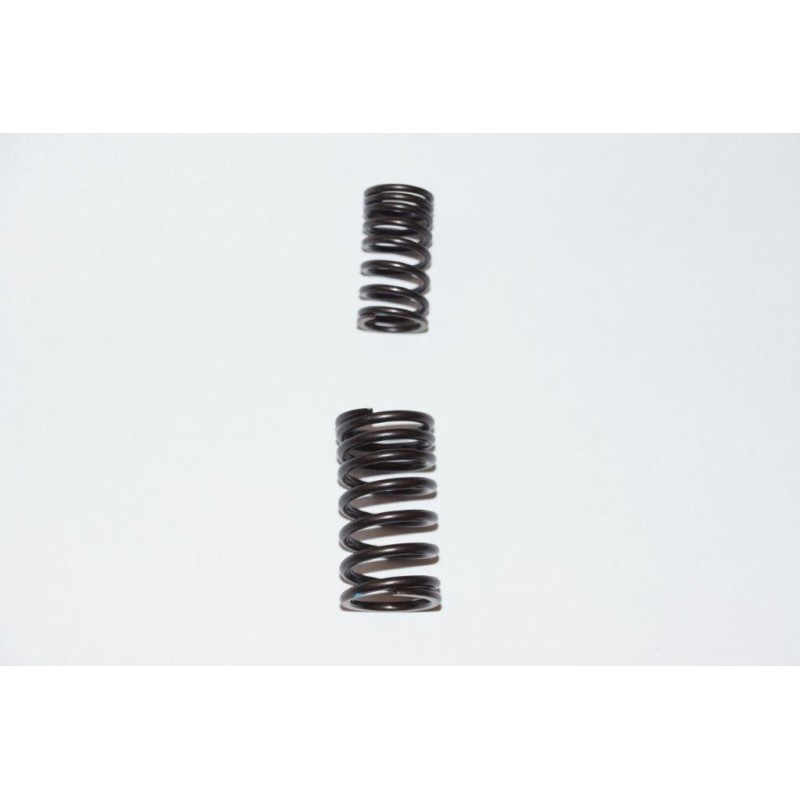 Valve spring kymco kxr mxu maxxer 250 300