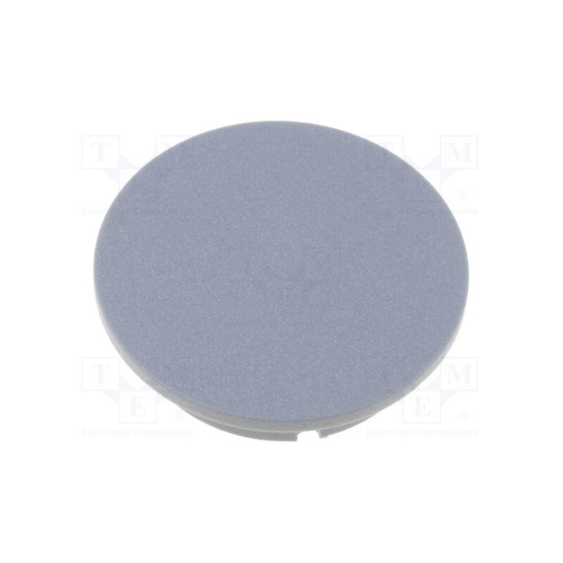 2 pcs x MENTOR - 4312.0041 - Cap, plastic, grey, push-in, G4312.6131