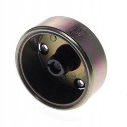 Magnet wheel magneto quad atv 200 250 bashan