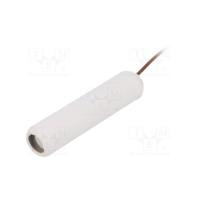 1 pcs x MIKROBEST - EL-10N - Accessories: sensor for fluid level controllers, max.80°C