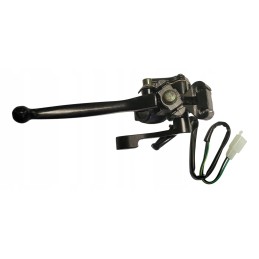 ATV Bashan Eagle throttle
