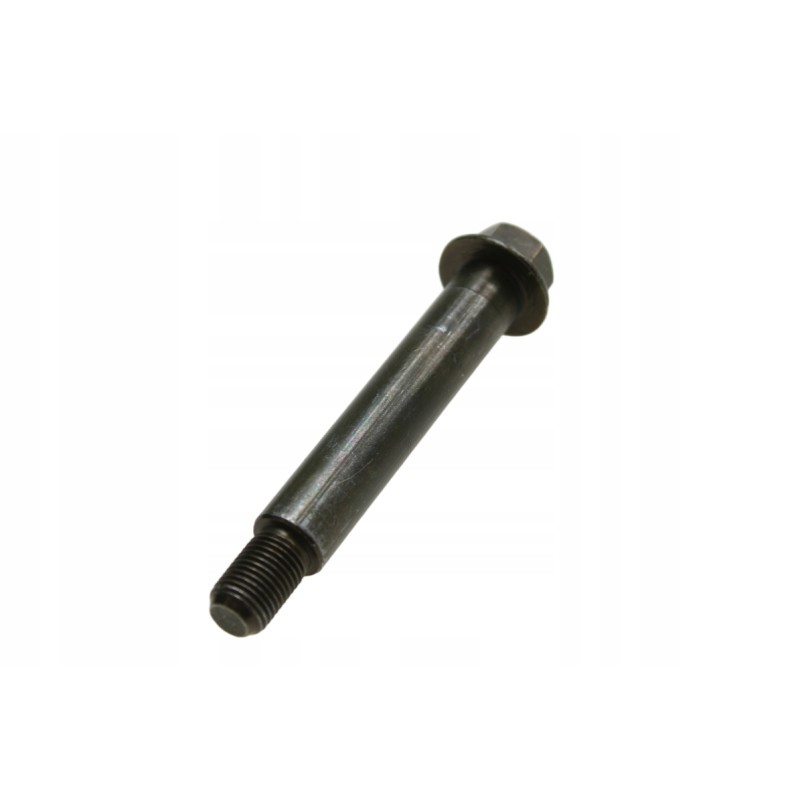 Lucky star suspension arm bolt