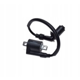 Ignition coil for ATV Bashan BS250S 5 Quad 250