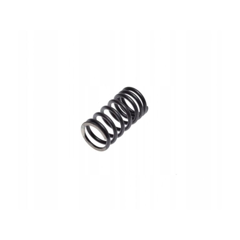 Shinray bashanquad atv 250 valve spring