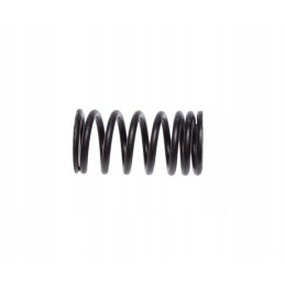 Shinray bashanquad atv 250 valve spring