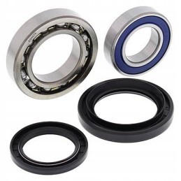 Rear wheel repair kit with Yamaha seals