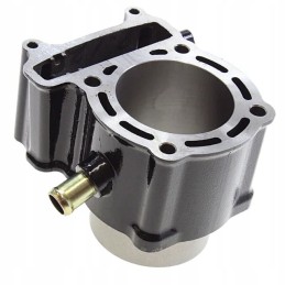 Cylinder kymco xciting 300 original 12100 lde9 e00