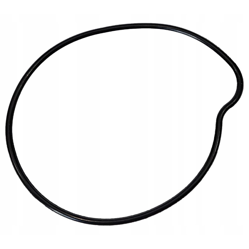 Water pump gasket gp1 blade r