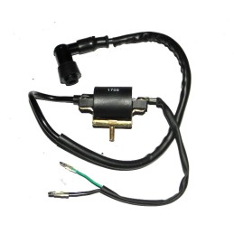 Kawasaki KLF 300 balance shaft