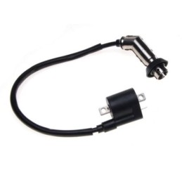 Ignition coil atv shineray bashan zongshen