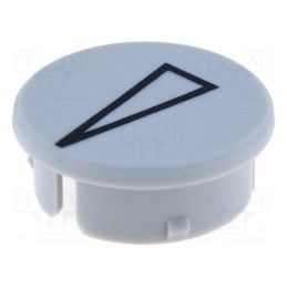 2 pcs x RITEL - 3021131 - Cap, with pointer, polyamide, grey, -20÷70°C, G21