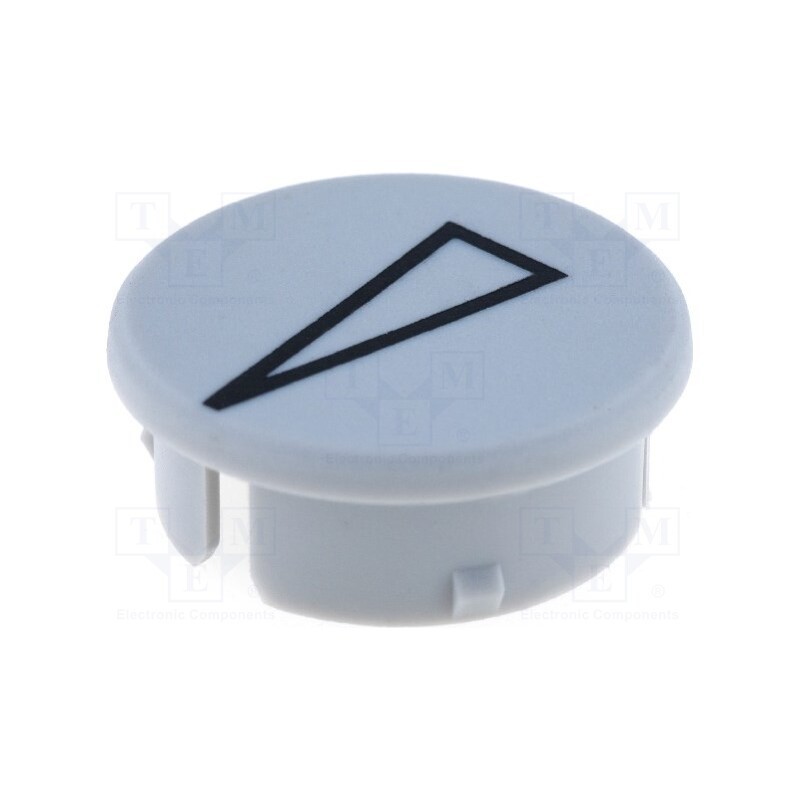 2 pcs x RITEL - 3021131 - Cap, with pointer, polyamide, grey, -20÷70°C, G21