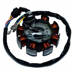 Ns_coils ignition magneto atv 200 bashan quad