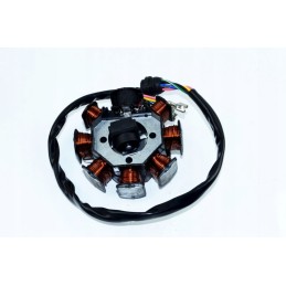 Ns_coils ignition magneto atv 200 bashan quad