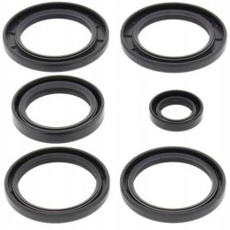 Kawasaki KVF rear differential seals