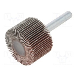 1 pcs x PG PROFESSIONAL - RG.076 - Wheel, Granularity: 120, Mounting: rod 6mm, with lever, Ø30x20mm