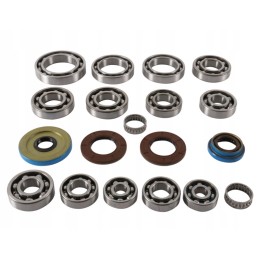 Polaris RZR 1000 differential repair kit