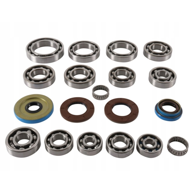 Polaris RZR 1000 differential repair kit
