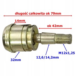 Swingarm end pin for quad atv bashan shineray