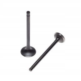 Kingway chopper 250 intake exhaust valve