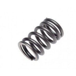 Linhai 260 300 valve spring, internal valves