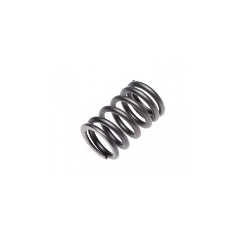 Linhai 260 300 valve spring, internal valves