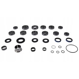 Polaris Sportsman differential repair kit