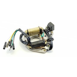 Igniter quad atv 70 110 125 stator 2 magneto coils