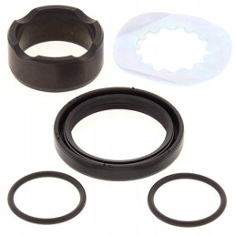 All balls seal kit 25 4041