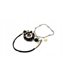 Stator ignition magneto gasket bashan eagle