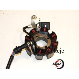 Stator ignition magneto gasket bashan eagle