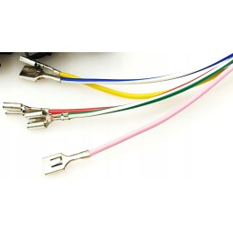 Stator ignition magneto gasket bashan eagle