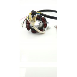 Stator ignition magneto gasket bashan eagle