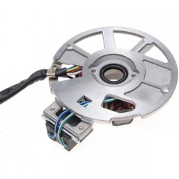 Stator magneto for Chinese 2t 50cc scooters