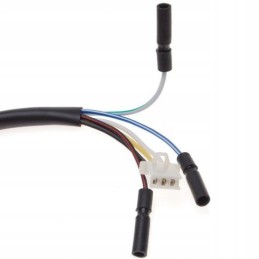 Stator magneto for Chinese 2t 50cc scooters